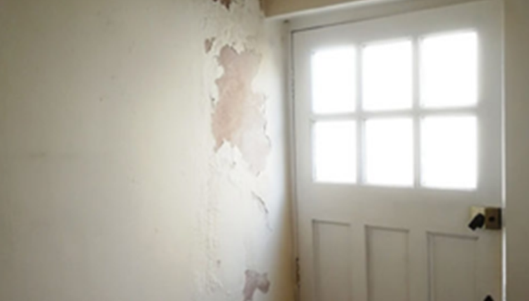Our focus on damp and mould Health & safety of our residents remains our top priority