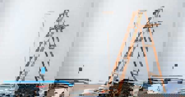 Repairs_pexels_blue-bird